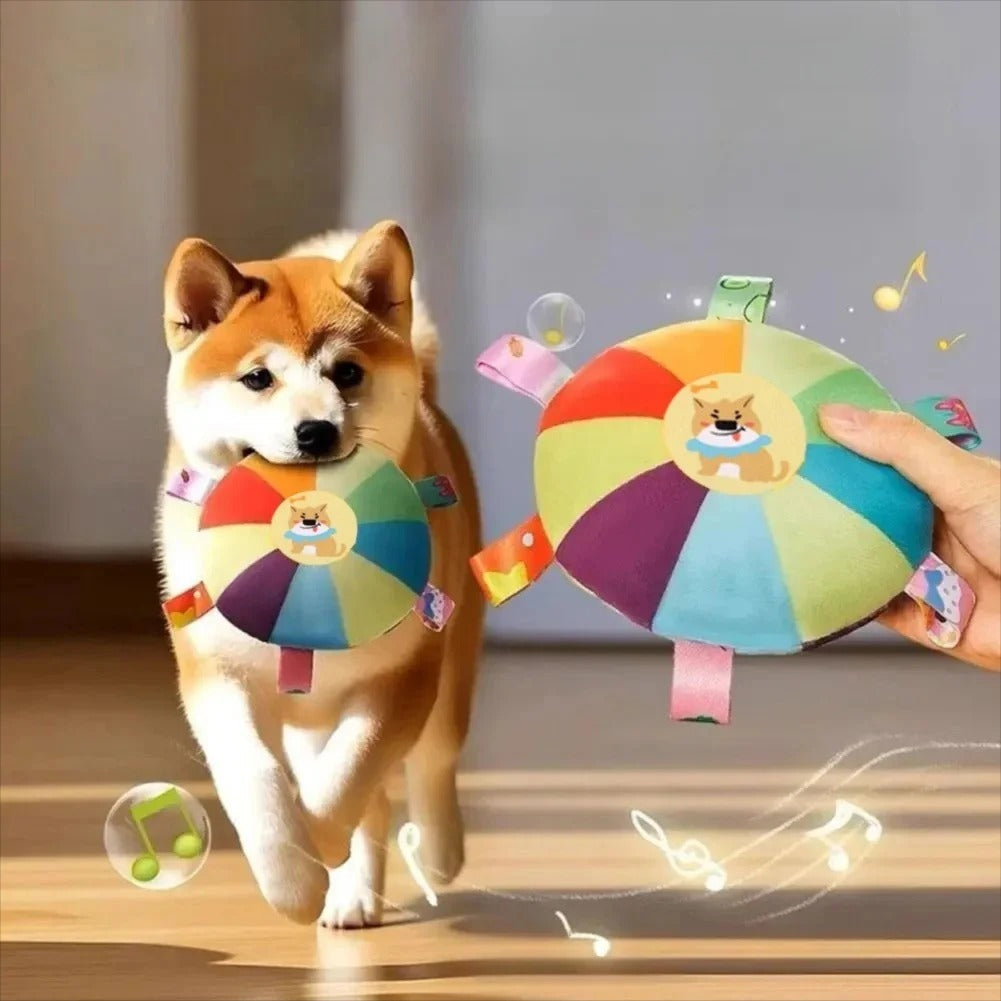 Pet Supplies - Detour Finds