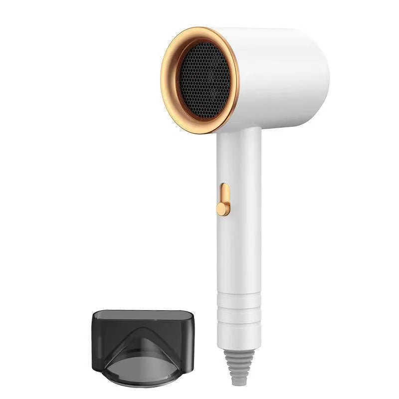 Hair Dryer High-Power Blue Light Negative Ion Ultra Silent Hair Care Quick Dry Home Powerful Constant Anion Electric Hair Dryer - Detour Finds